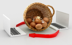 портал профессионалов рынка яйца куриного EggRussia.com - купить-продать яйца